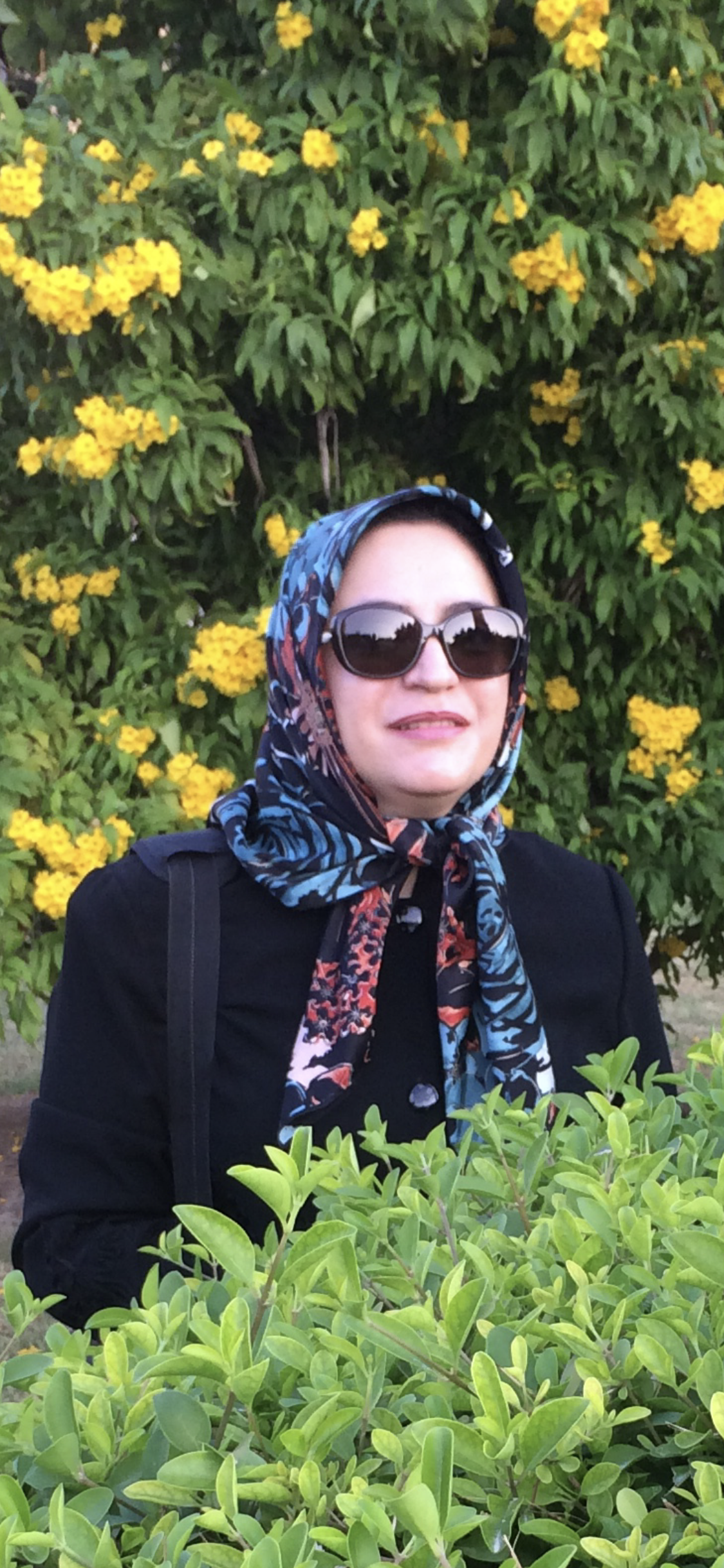 دکتر سعیده هاشمی نژاد