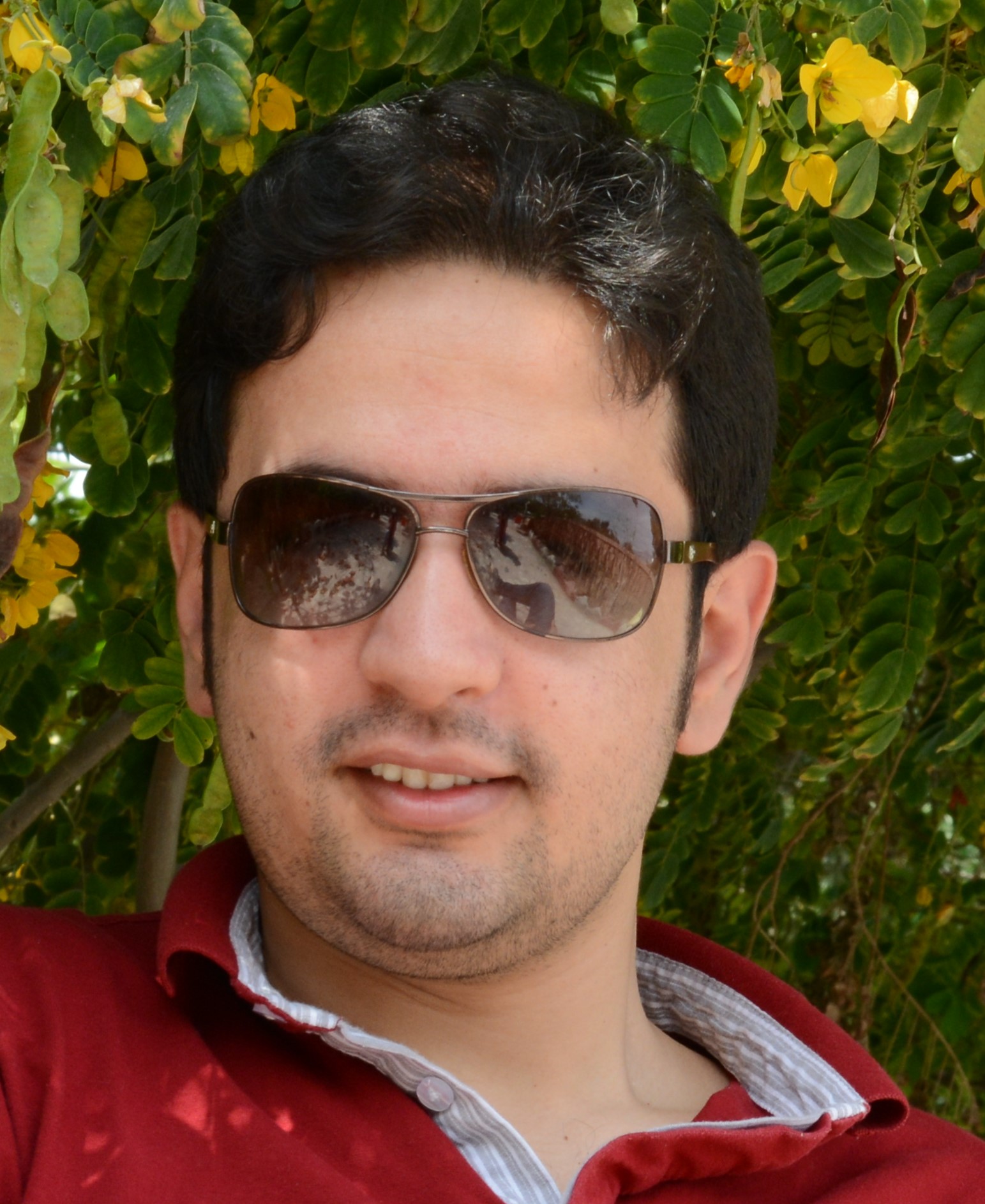 دکتر رضا همتی